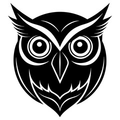 owl on white background