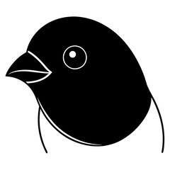 black and white bird