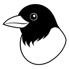 black and white bird