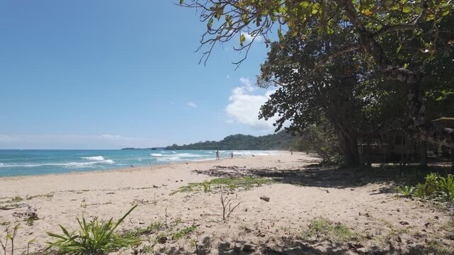 Wizard Beach, Bastimentos Island, Panama, with clear waters and greenery