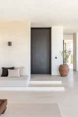 Modern minimalist interior design featuring a clean entryway with neutral colors and a potted plant in a contemporary home