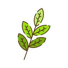 Matcha Tea Leaves Icon