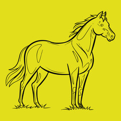 Horse Design