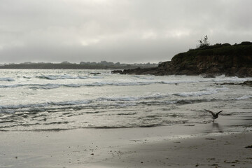 tempête , Plage du Dourveil, 29, Névez, Bretagne, Finistère, France