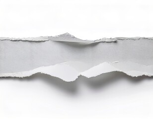 A strip of torn white paper with ragged edges against a clean white background.