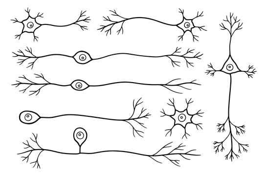 Hand-drawn illustrations of neuron cells