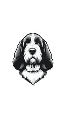 フランスのバセット・グリフォン・ヴァンデーンのモノトーン画像。長い耳と粗い被毛が特徴的。