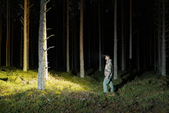 A man in camouflage, a volunteer searcher, with a flashlight in a pine forest at night.