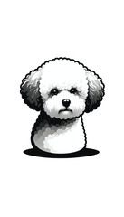 フランスのビション・フリーゼのモノトーン画像。小型でフサフサした白い被毛が特徴。