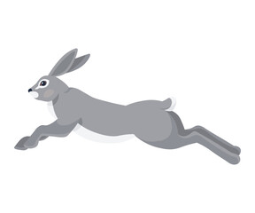 Wild hare in action or rabbit is jumping. Cute fast bunny or gray coney runs away vector illustration for label or poster. Animal is running. Natures graceful and playful defender of the fields