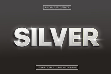 Silver 3D Editable Text Effect