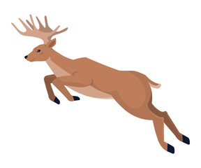 Running deer jump. Cute jumping fallow-deer with antlers, wild artiodactyl horned animal isolated on white. Happy new year decoration. Merry christmas holiday celebration. Hunting season and zoo