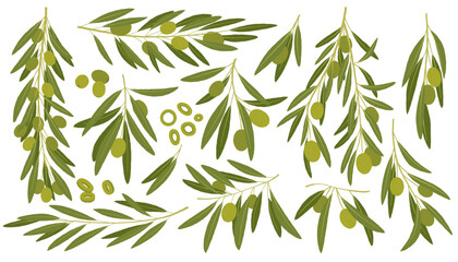 Cartoon green olives. Organic olive leaf branch, organic vegetarian food for logo design, natural green olives healthy product. Vector isolated set.eps