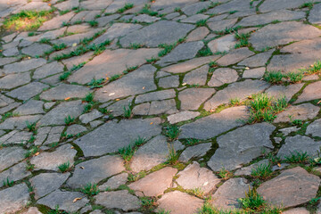 cobble stone aged pavement ground street narrow focus close up outdoor urban view perspective...