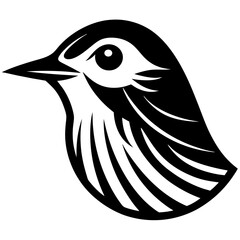 black and white bird