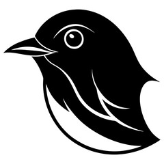 black and white bird