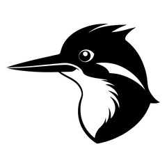 black and white bird