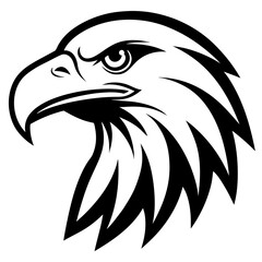 eagle head vector illustration