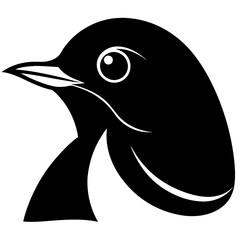 black and white bird