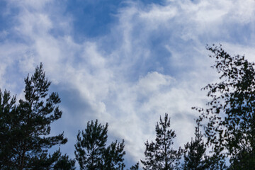 Blue sky and white and gray clouds. Texture background for design.