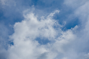 Blue sky and white and gray clouds. Texture background for design.