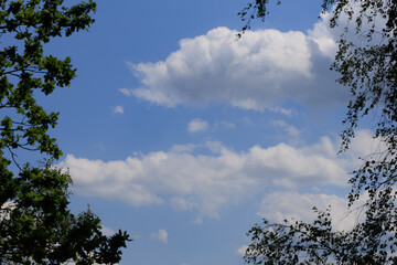 Blue sky and white and gray clouds. Texture background for design.