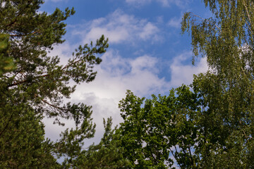 Blue sky and white and gray clouds. Texture background for design.