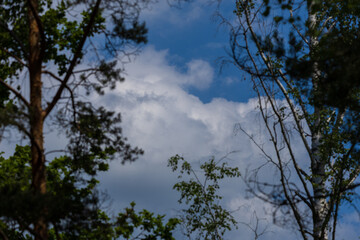 Blue sky and white and gray clouds. Texture background for design.