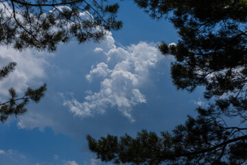 Blue sky and white and gray clouds. Texture background for design.