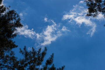 Blue sky and white and gray clouds. Texture background for design.