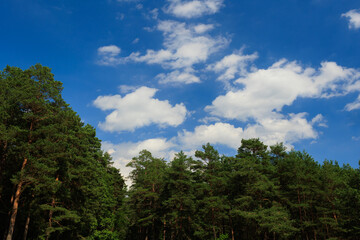 Blue sky and white and gray clouds. Texture background for design.