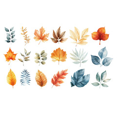 Obraz premium Watercolor Autumn and Winter Leaves Collection: Fall Foliage in Warm and Cool Tones for Seasonal Decor and Design