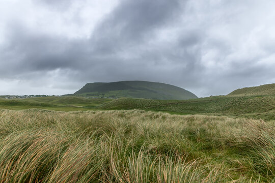 Tall grass sways in the wind on a hillside near Strandhill, County Sligo, Ireland, under dark stormy clouds, capturing the dramatic weather of an approaching storm