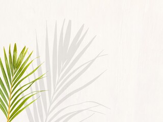 Young palm or coconut leaves with isolated white background. Clipping path set. Palm leaf set isolated. Empty space for text