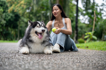 A beautiful Asian female dog owner is sitting on a street in a park, playing with her dog.