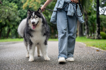 A woman is training her dog while walking it on a leash in a green park.