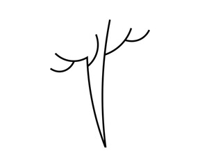 Simple black line drawing of a plant stem with three branching lines on a white background. Ideal for botanical themes nature minimalist art modern design educational materials natural growth