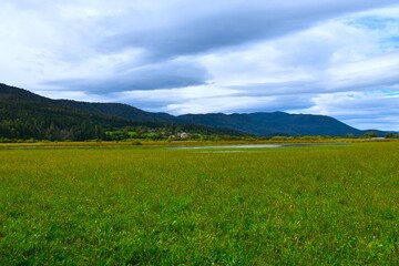 Field of grass at Cerkniško polje and Javorniki hills in Notranjska, Slovenia