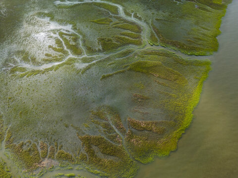 Aerial view of abstract wetlands with vibrant textures and serene water patterns, Brunswick, Georgia, United States.
