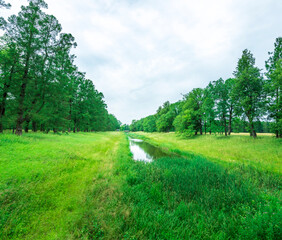 road in the forest