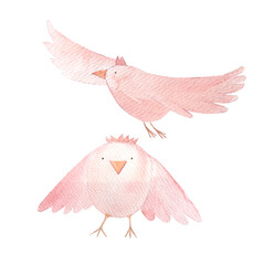 Pink chicks flying and standing, cartoon stile character, hand painted watercolor isolated on white. High quality illustration great for children design, wallpaper, posters, textile, notebooks, cards