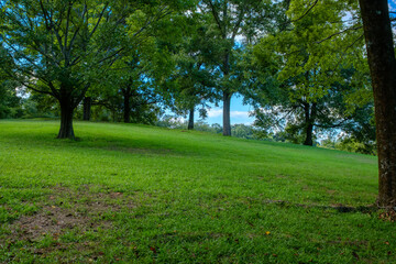 緑あふれる公園の風景