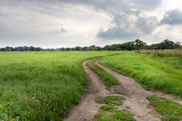 A dirt road runs through a field of grass