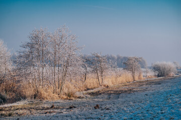 Very cold weather in the Netherlands in the rural region of the dutch farm lands. Winter landscape with frozen trees in the early morning at sunrise