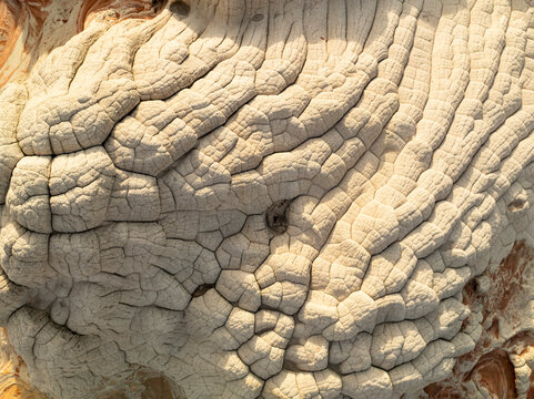 Aerial view of intricate and rugged rock formations with cracked and weathered textures, Marble Canyon, United States.