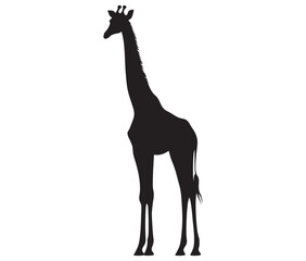 giraffe silhouette vector  giraffe cartoon isolated on white