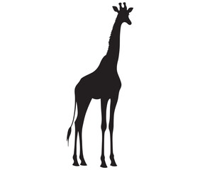 giraffe silhouette vector  giraffe cartoon isolated on white