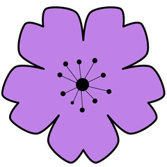 flower purple