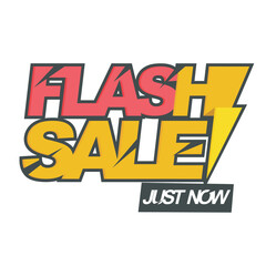 Flash Sale Poster, Banner or Flyer design.