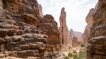 Aerial view of majestic rock formations in a vast desert landscape, beautiful wilderness area, unknown location.
